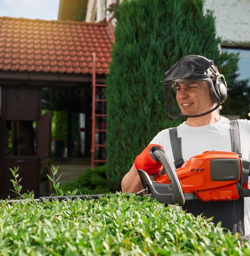 Handsome young man in safety mask and gloves shaping overgrown bushes at garden. Caucasian male using hand electric cutter for work outdoors.